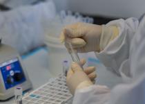 Десятки пассажиров круизного лайнера разъехались по миру еще до обнаружения хантавируса