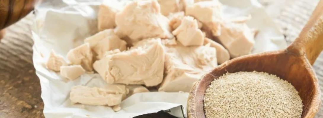 Вплив дріжджів на організм: чому цей продукт може бути небезпечним для здоров’я
