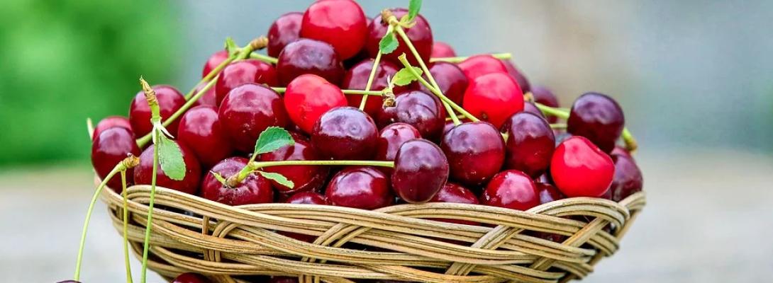 Забудьте про безсонні ночі: ці фрукти допомагають організму розслабитись і швидше заснути