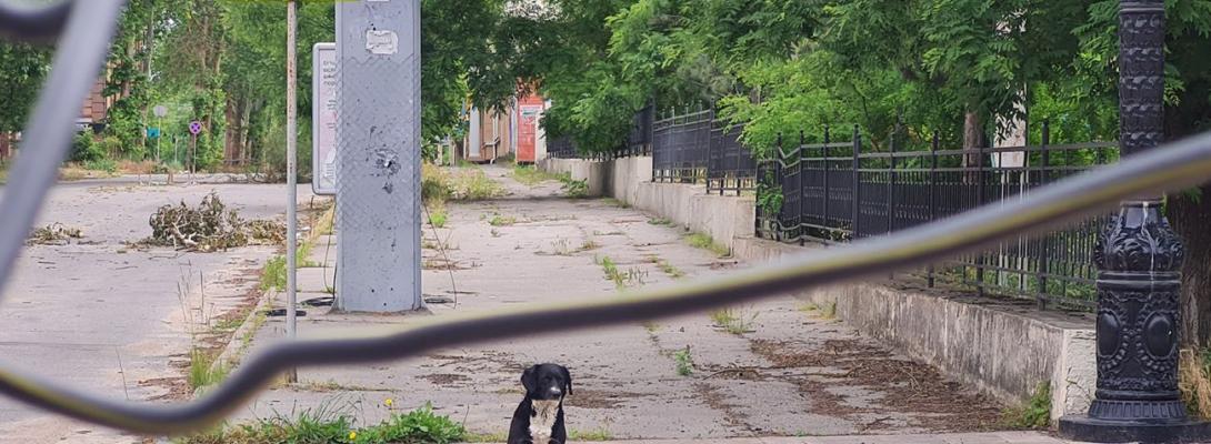 Херсонців попередили про мінування ворогом міста: яку ділянку радять оминати