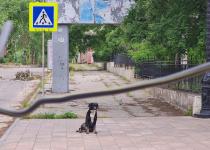 Херсонців попередили про мінування ворогом міста: яку ділянку радять оминати