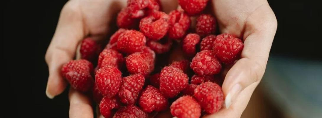 Продукти, багаті на клітковину: що обов’язково має бути в меню для здоров’я кишківника