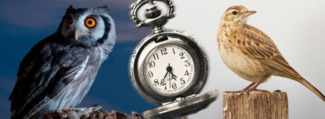 Звички, які повільно руйнують організм і можуть призвести до ранньої смерті