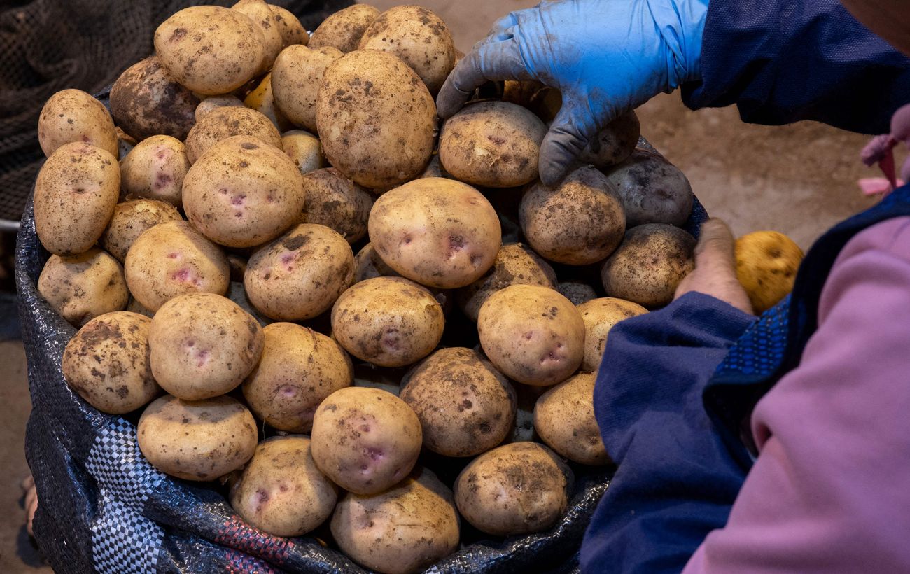 Картопля з Єгипту - кожна третя тонна: чому імпорт у 2025 році досяг рекорду