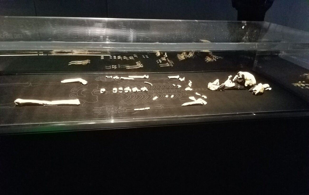 Таємниця Homo naledi: відкриття кардинально змінює уявлення про предків людини