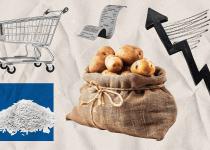 Де знайти найдешевші яйця та хліб: супермаркети показали нові ціни на продукти 2 липня