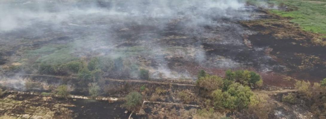 Одесу накрив запах диму: у ОВА пояснили, що відбувається