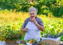 Август на даче: эти 5 задач нужно успеть сделать к началу осени
