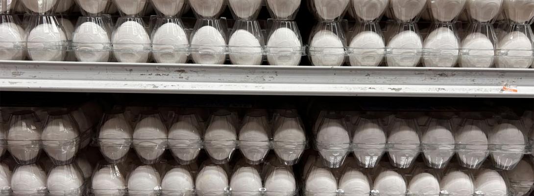 Яйця знову дорожчають: які ціни на продукти пропонують супермаркети 8 вересня