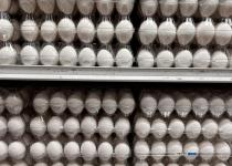Яйця знову дорожчають: які ціни на продукти пропонують супермаркети 8 вересня