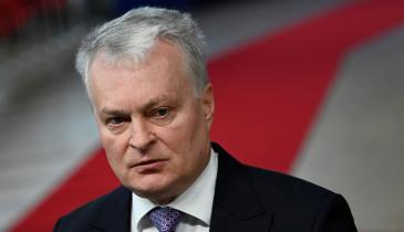 Дрон, збитий винищувачами НАТО у Литві, виявився російською "Герберою", - Науседа