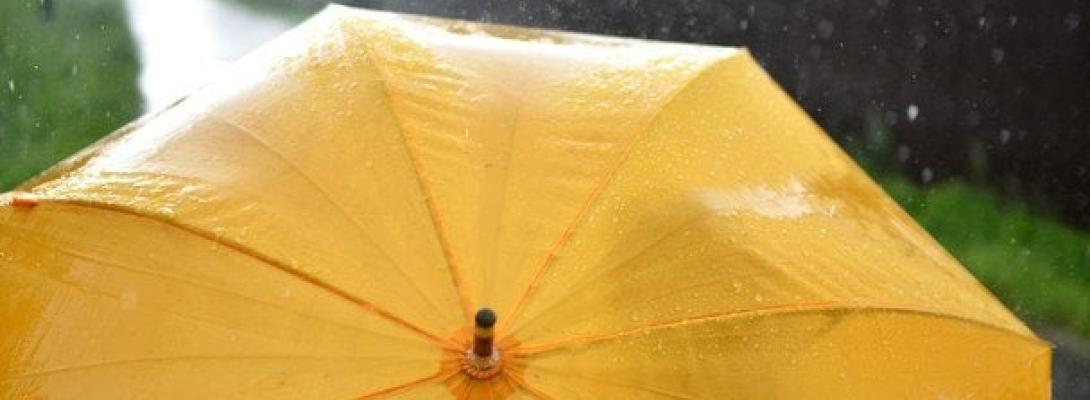 Парасолька на осінь: як вибрати таку, що не зламається від сильного вітру