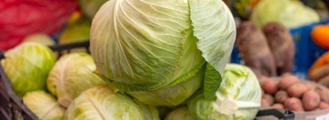 Закрутки з капусти на зиму: 3 незвичайні рецепти маринованих салатів