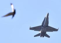 Велика Британія готова направити винищувачі Typhoon для підтримки миру в Україні
