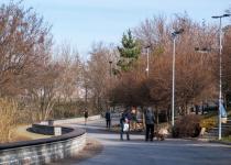 В 10 городах Украины зафиксировали новые температурные рекорды: где теплее всего (карта)