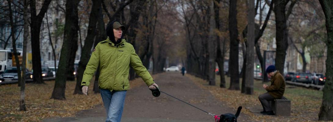 Від штрафу до в’язниці: за що можуть покарати власників собак в Україні у 2025 році