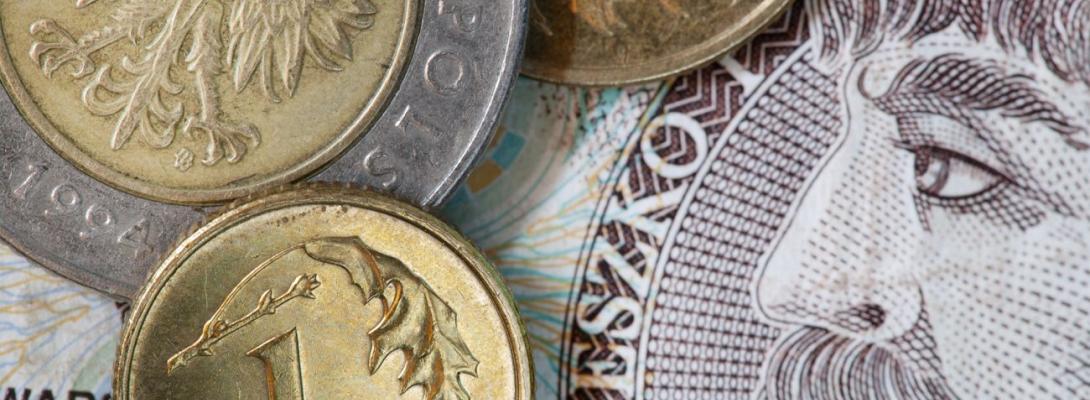 Злотий різко подешевшав після історичного максимуму: які прогнози щодо його курсу?