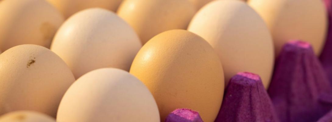 С0, С1 чи С2: які яйця краще обрати для варіння і смаження — поради експертів