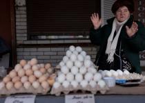 В Україні стартував "яєчний сезон": чого очікувати від вартості яєць найближчим часом