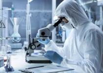 Революційний прорив: Вчені розкрили секрет вічної молодості на клітинному рівні!