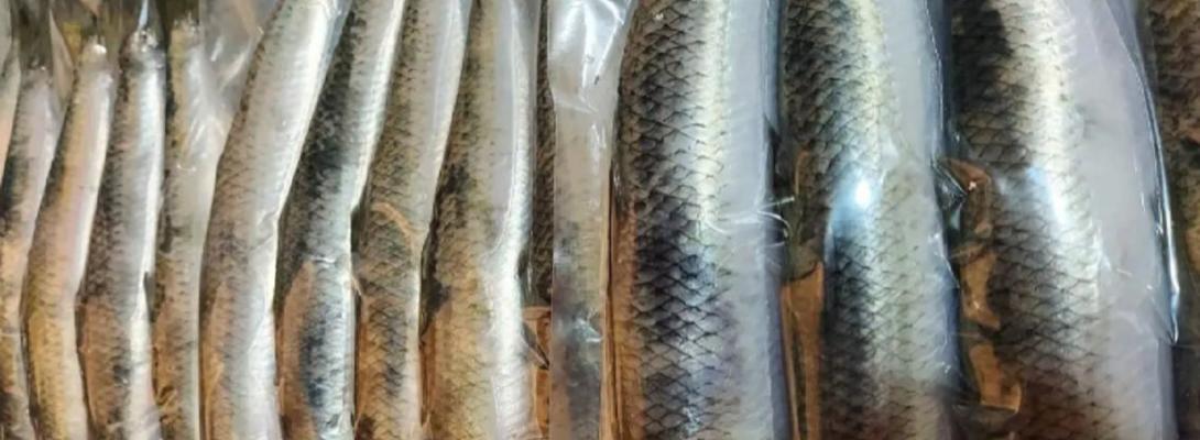 Цей оселедець нізащо не можна купувати в магазині навіть зі знижкою, він небезпечний!