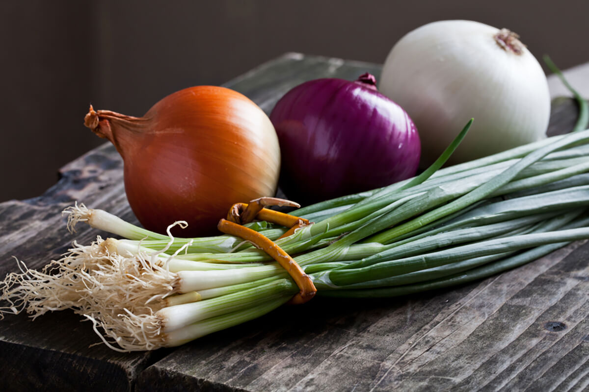 Чому нам потрібні продукти з пребіотиками: що слід включити до свого раціону 