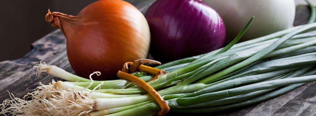 Чому нам потрібні продукти з пребіотиками: що слід включити до свого раціону 