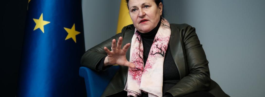 "Війна не є перепоною": посол ЄС розповіла, які реформи має зробити Україна