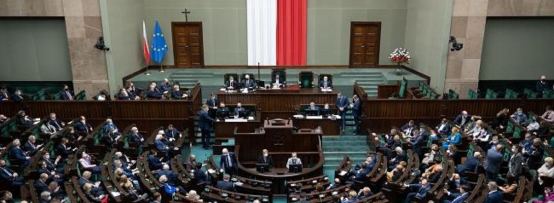 Польша выходит из Оттавской конвенции о запрещении противопехотных мин: подробности