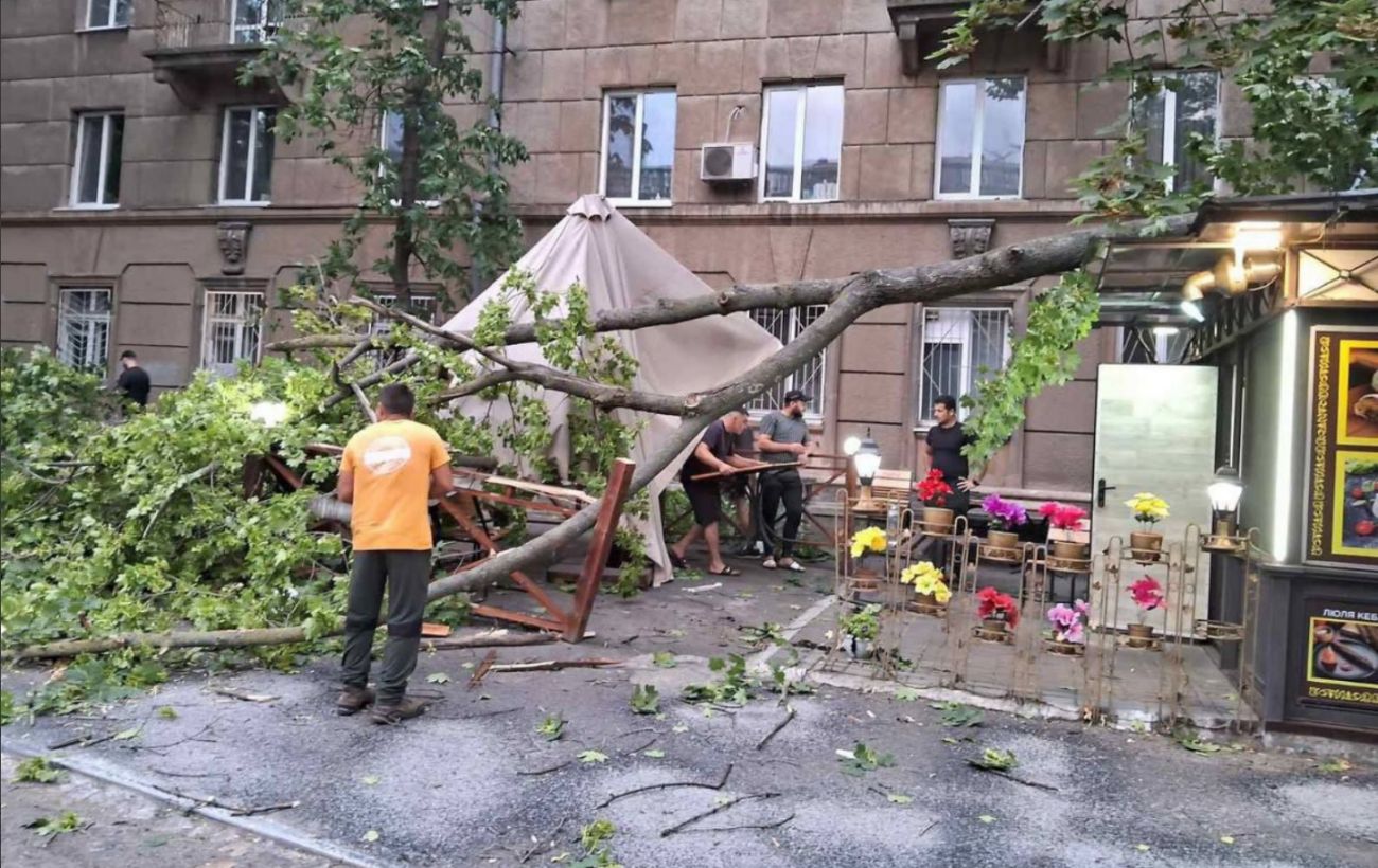 Одесу накрила негода з штормовим вітром: повалено десятки дерев, пошкоджені авто