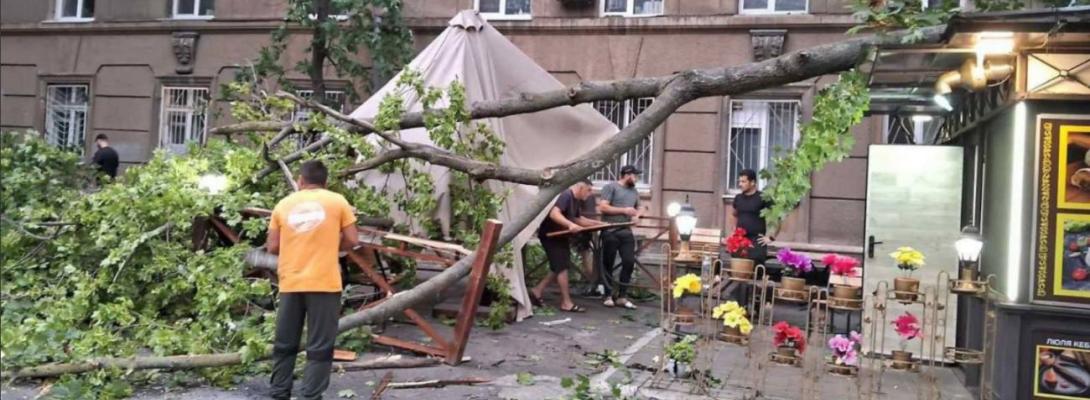 Одесу накрила негода з штормовим вітром: повалено десятки дерев, пошкоджені авто