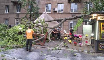 Одессу накрыла непогода со штормовым ветром: повалены десятки деревьев, повреждены авто