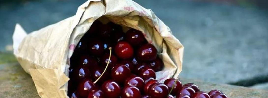 Названа корисна для здоров’я ягода: що станеться з організмом, якщо їсти її щодня