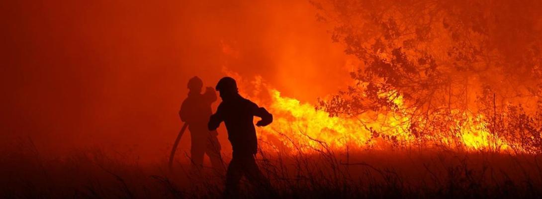 У Греції спалахнула масштабна лісова пожежа: сотні рятувальників борються з вогнем