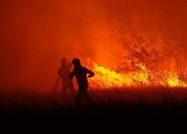 У Греції спалахнула масштабна лісова пожежа: сотні рятувальників борються з вогнем