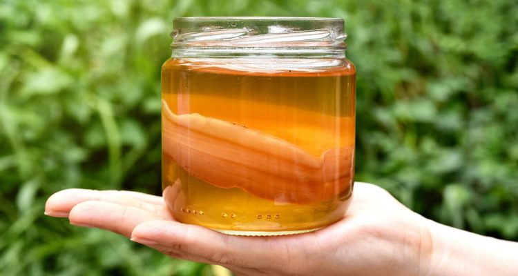 Розкрито користь популярного замінника соку і газованої води: нові дослідження