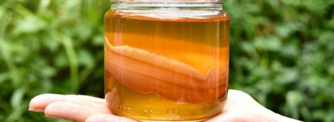 Розкрито користь популярного замінника соку і газованої води: нові дослідження