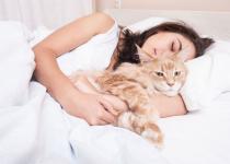 Чому не можна спати з котом в одному ліжку: приховані ризики, про які ви не знали