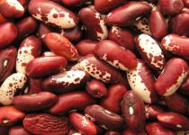 5 продуктів, які знижують вірогідність раку товстої кишки: поради експертів