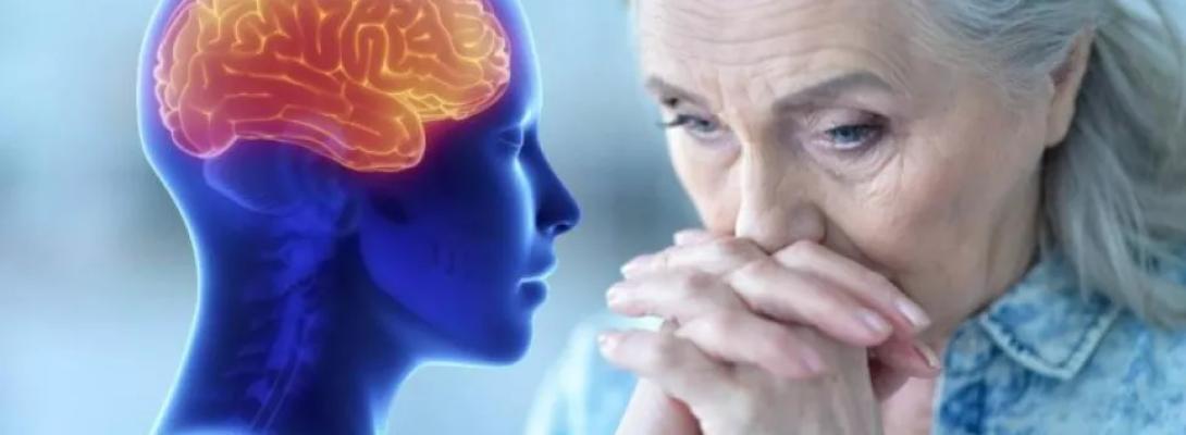 Науковці з’ясували, яка харчова звичка призводить до швидкого старіння мозку