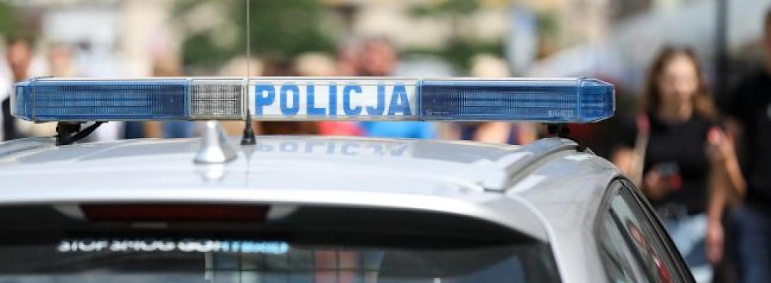 Польські ліси стають полігоном для російських дронів: чому НАТО не реагує?