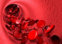 Нове дослідження шокує медиків: Ваша група крові може стати смертельною пасткою 