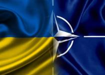 Відмова від НАТО? Для України придумали альтернативу: що приховано за новою стратегією