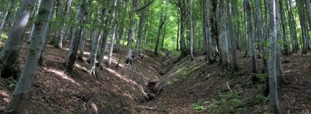 У Львівській області стався землетрус: перші подробиці та реакція місцевих мешканців