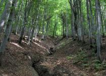 У Львівській області стався землетрус: перші подробиці та реакція місцевих мешканців