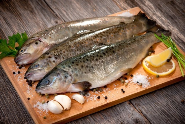 5 продуктів, які не можна поєднувати з рибою: небезпечні комбінації для здоров’я