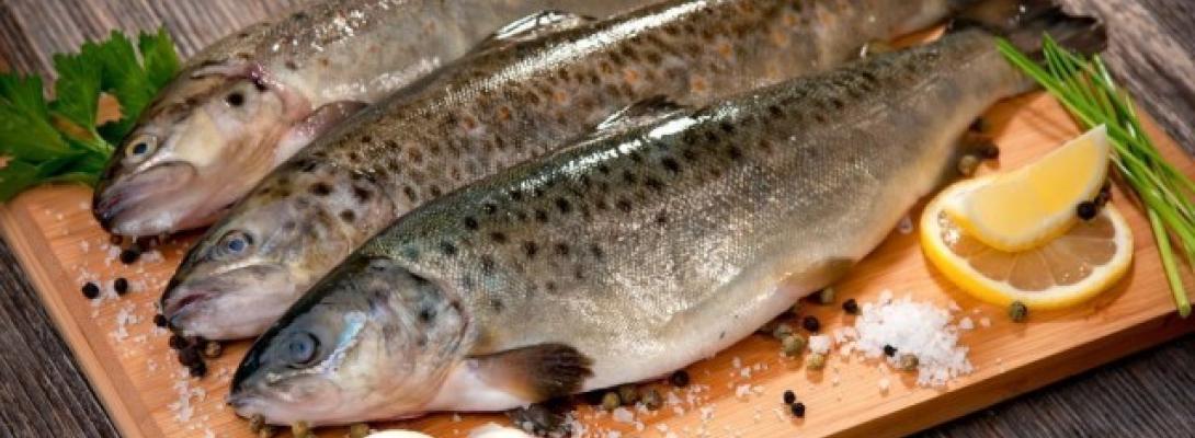 5 продуктів, які не можна поєднувати з рибою: небезпечні комбінації для здоров’я