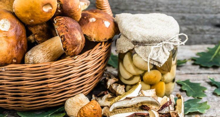 Як уповільнити старіння мозку: продукт, який зменшує ймовірність розвитку деменції