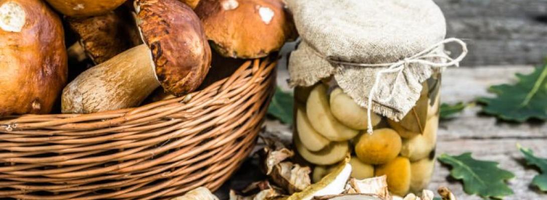 Як уповільнити старіння мозку: продукт, який зменшує ймовірність розвитку деменції