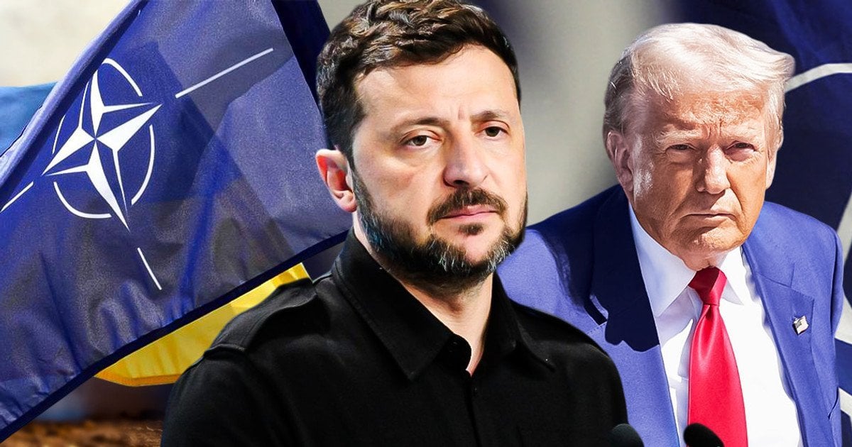 Що сталося у Вашингтоні між Зеленським і Трампом: Politico розкрило шокуючі деталі